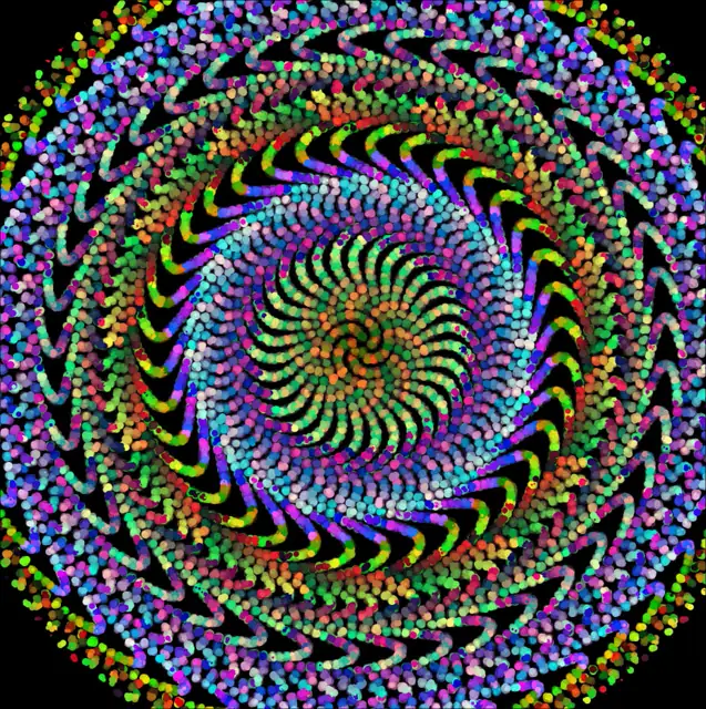 Preview of Phyllotaxis